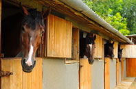 free Forest Lane Head stable construction quotes
